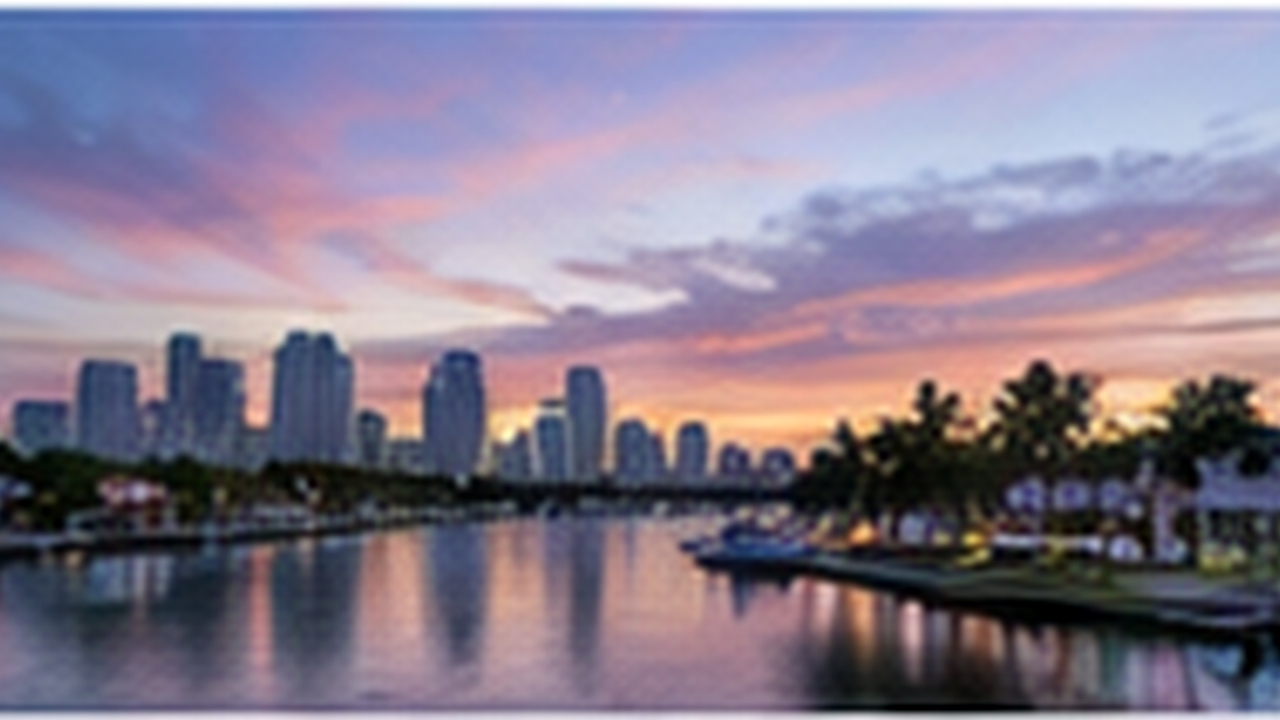 Handyman Sunrise Intracoastal